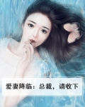 第一章总裁爱妻如命