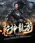 龙游乾坤小说