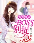 蜜爱宠婚小说