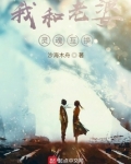 我和老婆灵魂互换的小说