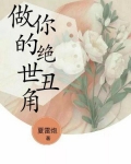 做你的绝世丑角小说