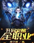 开局觉醒全职业TXT