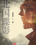 北国谍影第二部