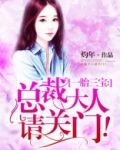 总裁大人请关门一胎三宝小说