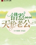 替身前妻小说错惹天价老公