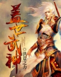 盖世武神楚枫小说