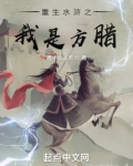 重生水浒之我是方腊