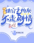 快穿之炮灰不走剧情免费阅读