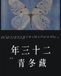 二十三年藏冬青 阅读