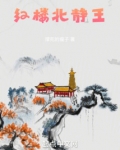 红楼北静王黛玉
