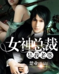 女神总裁是我老婆吴迪