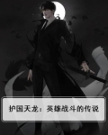 护国天龙免费阅读无弹窗广告