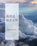 我的爱轻若尘埃小说