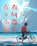 在下小智，有何贵干