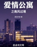 爱情公寓之南风过境下载