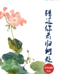 错过你，云归何处