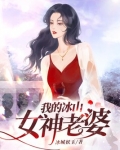 我的冰山女神老婆免费阅读完整版小说