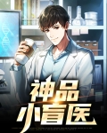 妙手小盲医小说