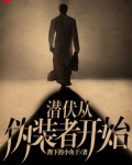 潜伏从伪装者开始小说