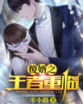 傻婿小说免费阅
