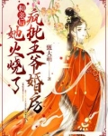和亲后前王妃总是被求娶