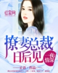 撩妻总裁日后见最新免费阅