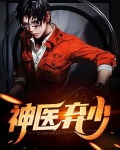 神医弃少杨易秦小说免费阅读