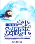 1号傲妻：宫少，别硬来