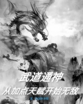武道通神的小说