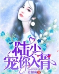 陆少，宠你入骨