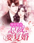 刻骨情深总裁别来无恙