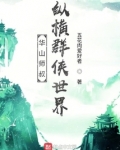 华山师叔，纵横群侠世界