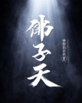 佛子天地游记全册