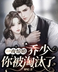 一夜惊婚：乔少，你被淘汰了