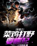 联盟之打野无敌
