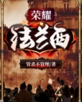 荣耀法兰西小说