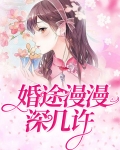 阮少的替嫁新,婚途漫漫