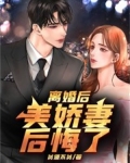 离婚后薄先生他后悔了