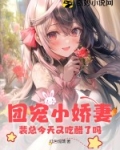 小说主角裴总