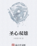 圣心双雄txt