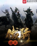 逆天铁骑笔趣阁