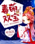 毒萌双宝：父王，娘亲又改嫁啦！