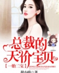 一胎二宝总裁的天价宝贝免费阅读