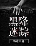 黑迷踪魄电视剧