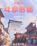 红楼之林家赘婿听风喜流水