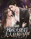 替嫁燃情:残疾大佬太坏了