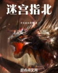 迷宫指北