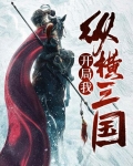 纵横三国之凉州辞