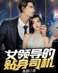 女领导的贴身司机电视剧