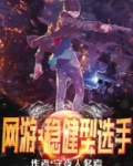 网游：稳健型选手